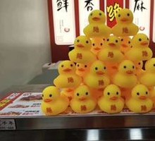 Black Duck Head