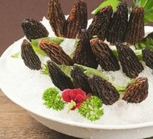 Morel Mushroom