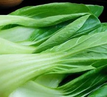 Baby Bok Choy