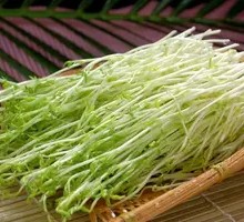 Pea Shoots