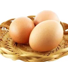 Egg