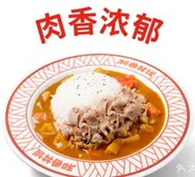Beef and Curry Rice