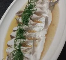 Big White Catfish