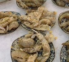 Live Sea Shrimp