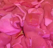 Pig Treasure