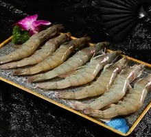 Deep Sea Shrimp