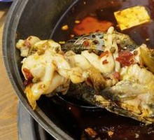 Delicious Frog Legs