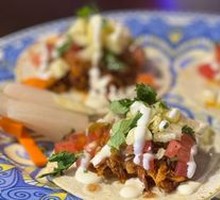 Shredded Pork Tacos