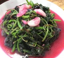 Red Amaranth
