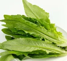 Fresh Lambsquarters