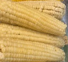 Glutinous Corn