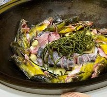 Gaya Fish