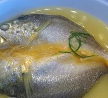 Yellow croaker