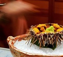Live Sea Urchin
