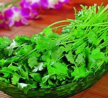 Cilantro