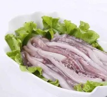 Squid