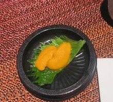 Sea Urchin