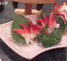 Sea Scallop