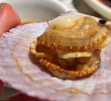 Red Scallop