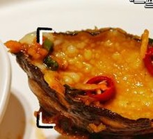 Fresh Abalone