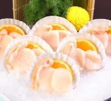 Scallop Hot Pot