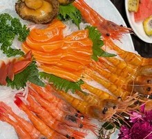 Salmon