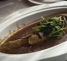 Braised Pufferfish
