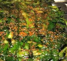Grilled Leeks