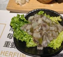 Mustard Octopus