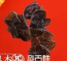 Wood Ear Mushroom