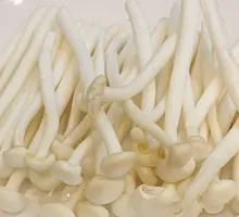 Seafood Mushroom