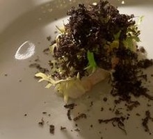 New Zealand Lobster