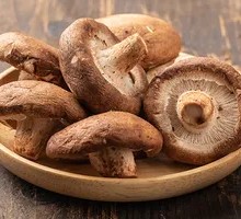 Shiitake Mushroom