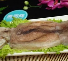 Squid