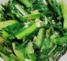 Oilseed lettuce