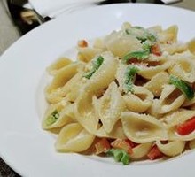 Creamy Shell Pasta