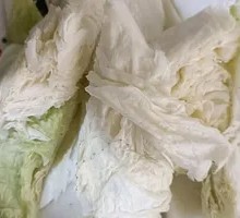 Napa cabbage