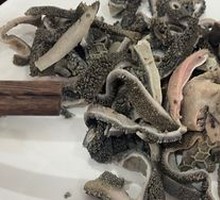 Morel Mushroom