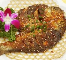 Crucian Carp