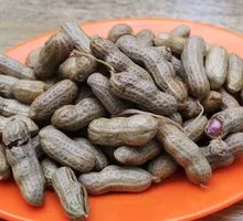 Boiled Peanuts