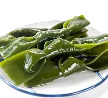 Kelp