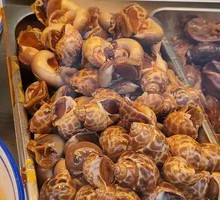 Snail