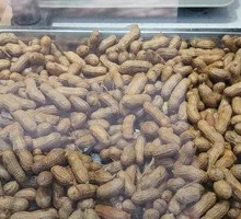 Boiled Peanuts