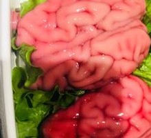 Pig Brain Flowers