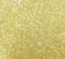 Rice Porridge