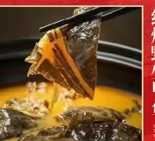 Braised Wild Softshell Turtle