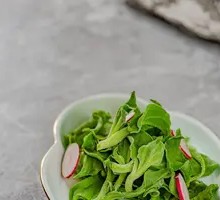 Ice Plant Salad