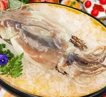 Grilled Spicy Squid