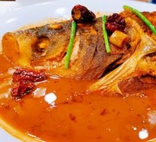Bullhead Fish