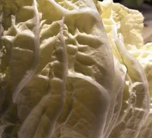 Chinese cabbage